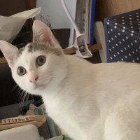 まる