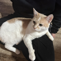 ミル