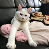 すず