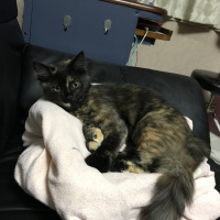 ベル
