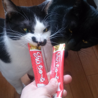 千歳駅前ぽんぽち・むぎ