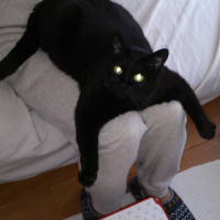 さくらば・くろっち監督