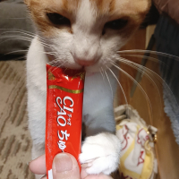 ヒメ