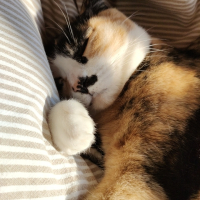 むぅちゃん