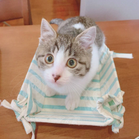 りん