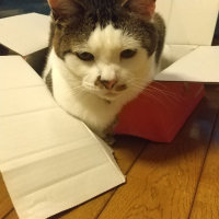 ふくきち