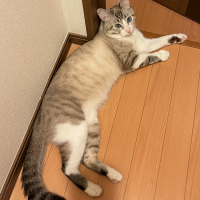 ミユ