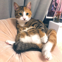 うに