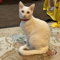 ハナ