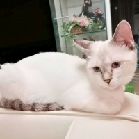 クシティ・タノクサ　