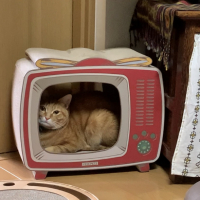 ロロ