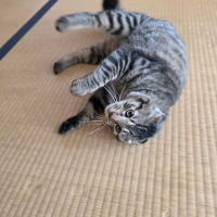 マーク