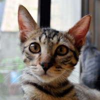 シカリ・チュプ（満月）