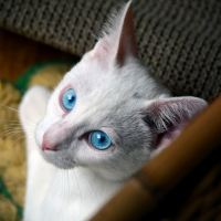 ミナミナ（にっこり笑う）