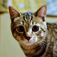 マルリ・チュプ（満月）