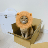 すもも