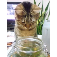 ニャックルン