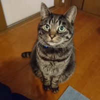 ジュニア