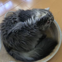 憶良