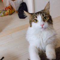 シオン