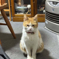 れお