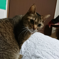 るると
