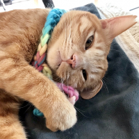 ツム