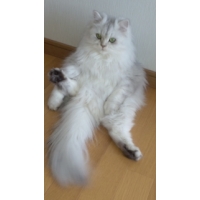 姫