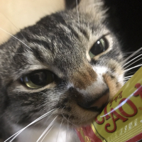 ミースケ