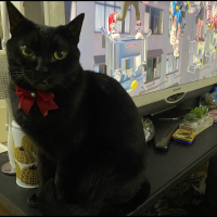 ラム