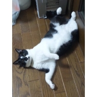 くろ