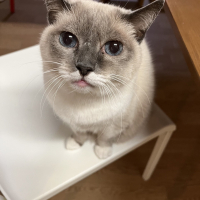ちゃみ