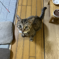 クリ
