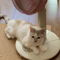 ゆきちゃん