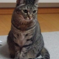 ジェナ