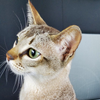 テオン