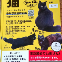 くー