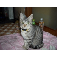 つーちゃん（つばさ）