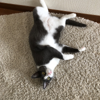 お米(およね)