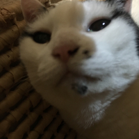 みるく