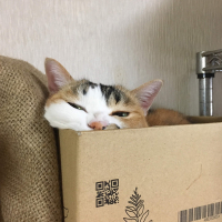 ぐりこ