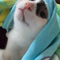 める