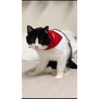 ぐる