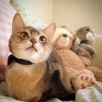 ぐり