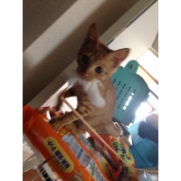 ちゃーちゃん