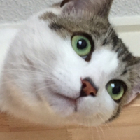 ろく