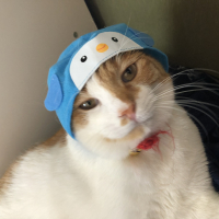 虎徹（こてつ）