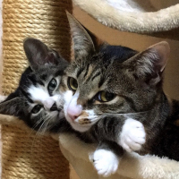 るん＆れん