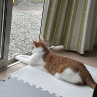 くう