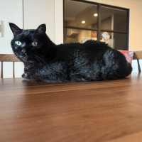 むた